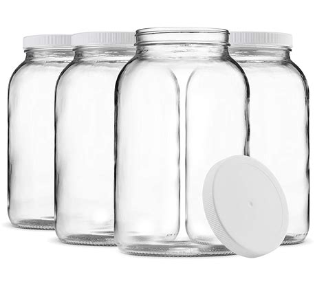 Paksh Novelty 1-Gallon Glass Jar Wide Mouth with Airtight Plastic Lid ...