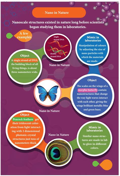 Nanotechnology Examples 的图像结果