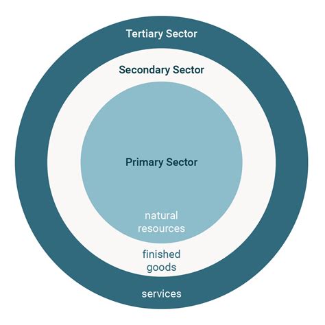 Image result for Business Sectors Examples