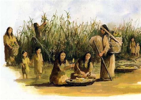 Sustainable Farming And Harvesting Practices Within Native American Communities