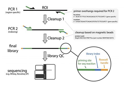 16S RRNA Sequencing Method