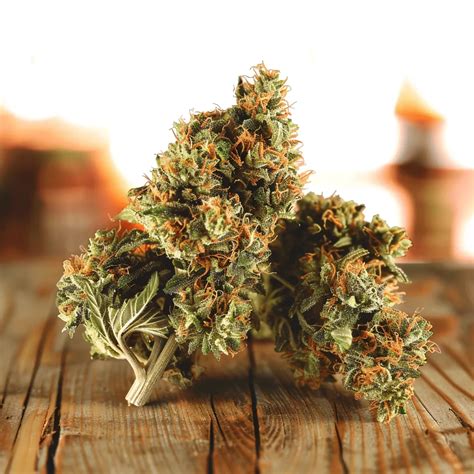 Sugar Biscuit Strain - Potent and Relaxing Cannabis