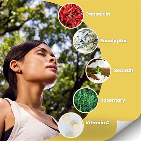 Nasol Natural Sinus Spray - Relief from Sinus India | Ubuy