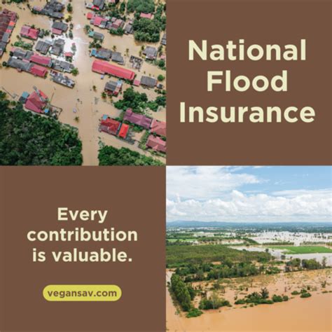 Image result for National Flood Insurance Program