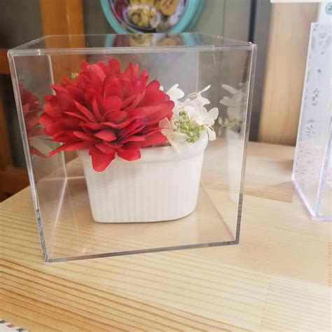 油断してました | SUKIHANA Itoshima