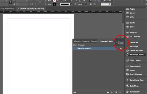 Image result for Paragraph Styles InDesign