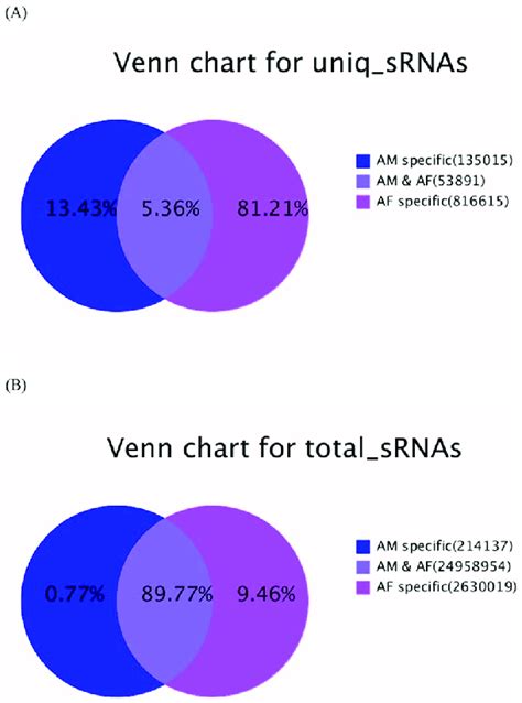 Common Tags 的图像结果
