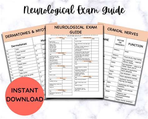 Neurological Exam Guide, Physical Therapy Cheat Sheet, New Grads ...