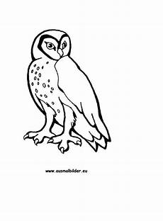 eulen malvorlagen quest ausmalbilder eule pdf eulen malvorlagen quest ausmalbilder eule pdf