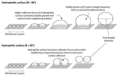 Controlling Air Bubble Formation Using Hydrophilic Microfiltration ...