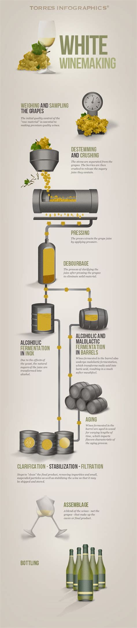 Wine Making Process 的图像结果