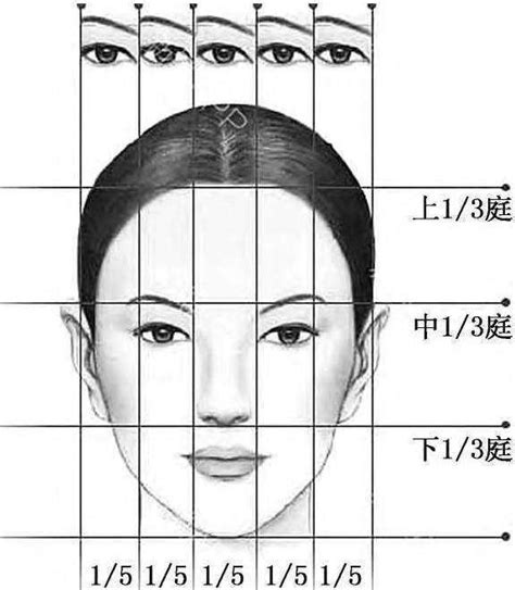 如何分析臉部的五官比例？看看這8款完美臉部比例，你是屬於哪一款呢？｜PopDaily 波波黛莉