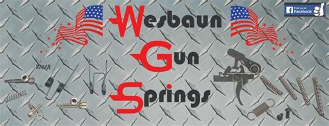 Image result for SW9VE Trigger Spring Kit