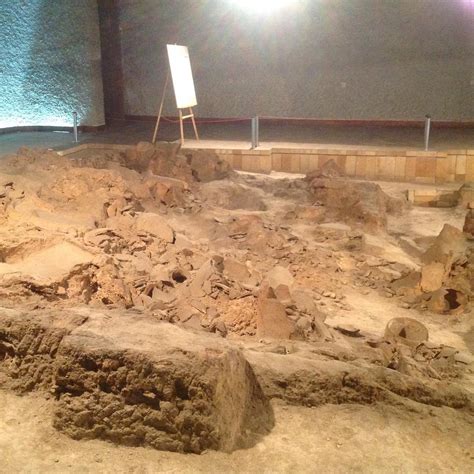 NEOLITHIC DWELLINGS MUSEUM (2025) All You Need to Know BEFORE You Go ...