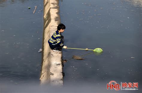 汛期危险！郑州金水河里有孩子玩耍戏水 他们现场制止劝离-大河报网
