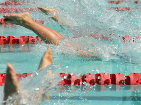 Swim and Dive Team 的图像结果