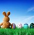 Image result for Baby Easter Photography