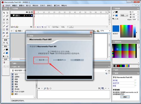 Macromedia Flash MX(Flash动画制作软件) V6.0 中文绿色版 - 深度系统｜深度-值得深入
