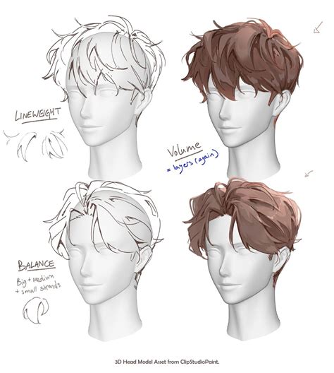 Male Hair Reference Drawing
