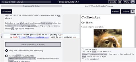 Image result for Step 12 Freecodecamp HTML