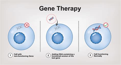 Gene Therapy Investigatory Project PDF class 12: Download Now