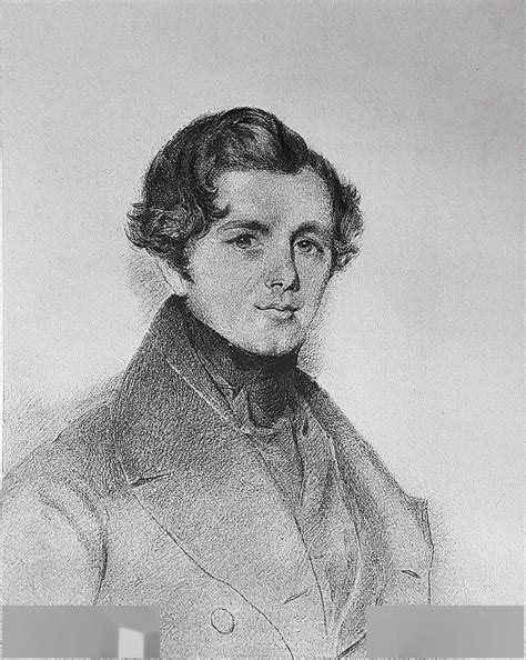 斑纹角马 的图像结果