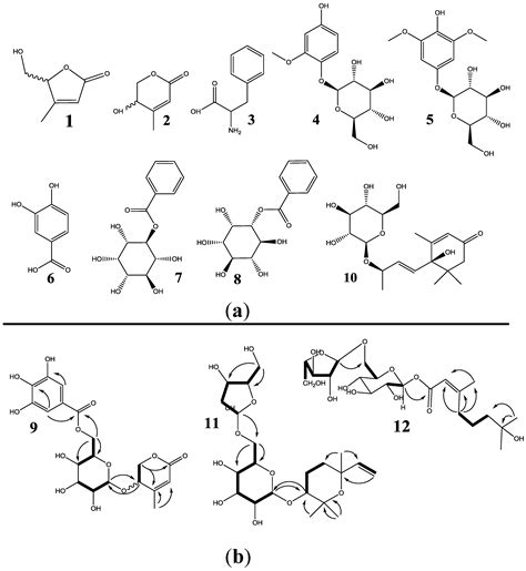 Bioactivity-Guided Purification of Novel Herbal Antioxidant and Anti-NO ...