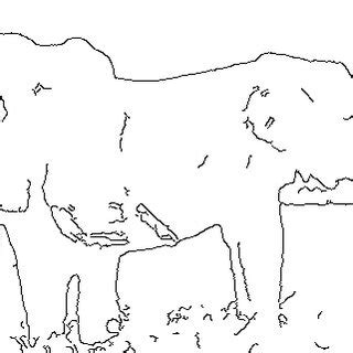 Image result for Canny Edge Detection Algorithm