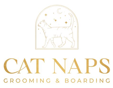 Book a Reservation — Cat Naps