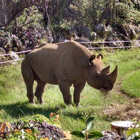 CHEHAW PARK & ZOO (2025) All You Need to Know BEFORE You Go (with ...