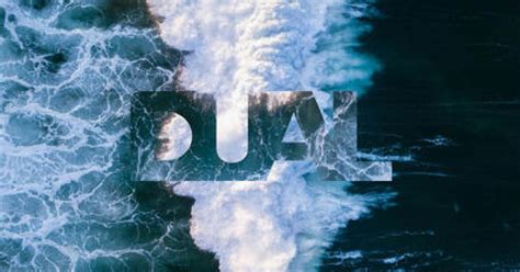 Image result for Dual Insurance Logo