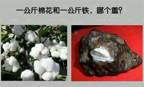 1公斤白米禮品包裝 - 後壁米(殷家米)，良耜是一種生活，而台南16號、台南19號是生活的一部分