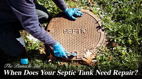 When Does Your Septic Tank Need Repair: Signs And Solutions – The ...