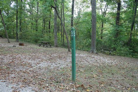 Campsite #5 - Harrison County Parks, Indiana