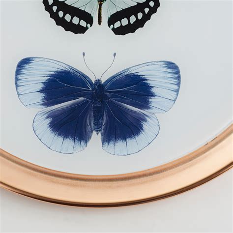 Buy Corsica Metal Printed Butterfly Wall Accent from Corsica by Home ...
