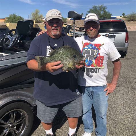 New World Record Redear Sunfish (Shellcracker) -It's A GIANT! • Panfish ...