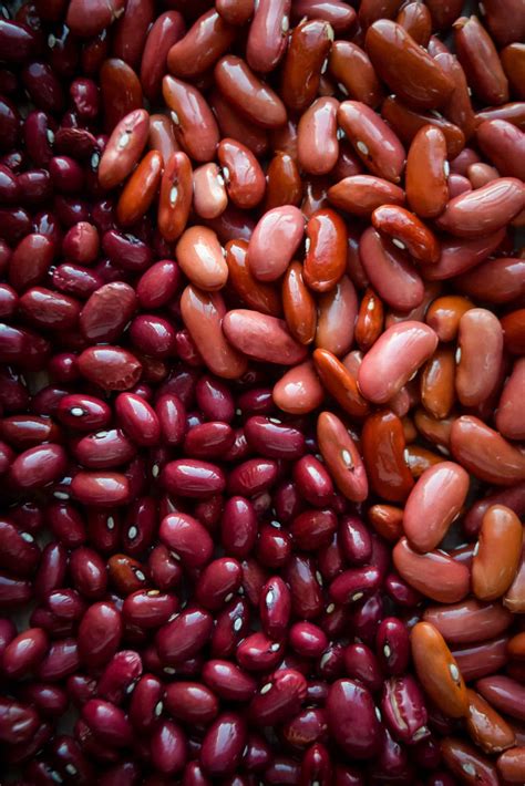 Kidney Beans Vs Red Beans • The Incredible Bulks