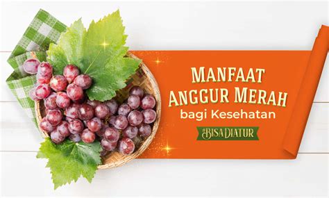 fungsi manfaat anggur merah