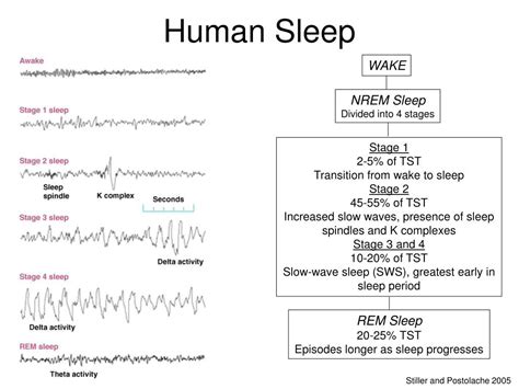 Sleep 的图像结果