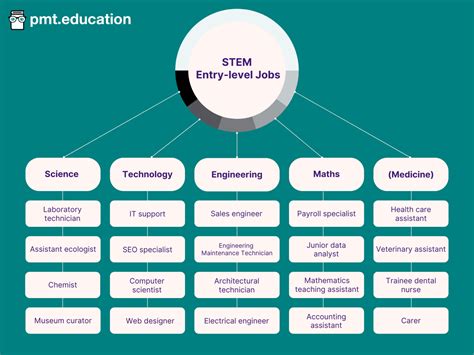 What is an entry-level job in STEM? | PMT Education