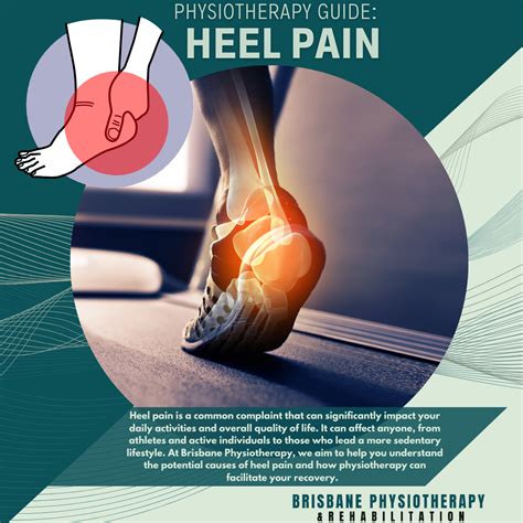 Heel Pain: Understanding Causes, Symptoms, and Physiotherapy Solutions - Brisbane Physiotherapy ...