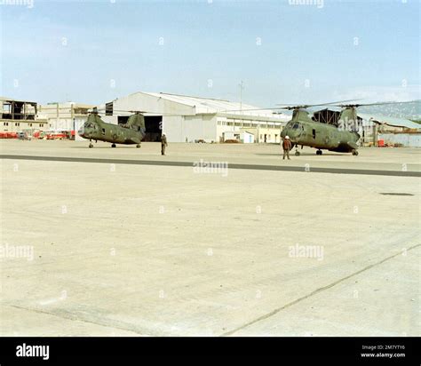 U.S. Marines prepare to load mail into CH-46 Sea Knight helicopters at ...