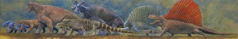 謎の古代生物の正体は「動物」と判明、地球最古級 | ナショナル ジオグラフィック日本版サイト