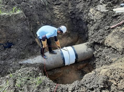 Image result for Holiday Testing