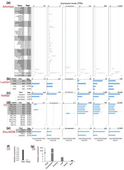 Genomics-Enabled Analysis of Puroindoline b2 Genes Identifies New ...