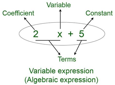 Algebraic Expressions Class 7 Notes Maths Chapter 10 Free PDF