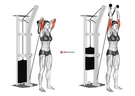Exercise Database: The Lift Hub - Exercise Videos & Guides