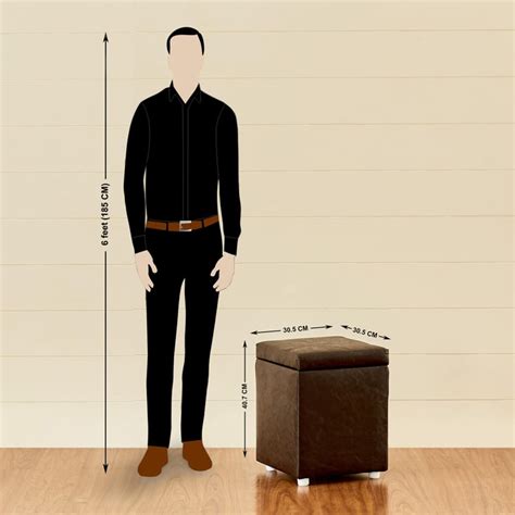 Buy Andaman Nxt Fabric Ottoman with Storage - Brown from Home Centre at ...