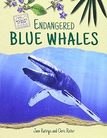 Buy Endangered Blue Whales (Wildlife at Risk) Book Online at Low Prices ...