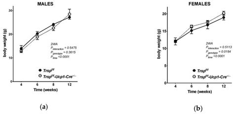 Adaptive Thermogenesis in a Mouse Model Lacking Selenoprotein ...